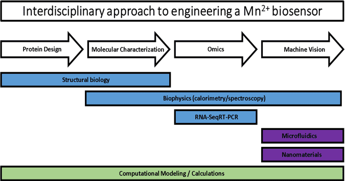 Bioss Team 2 - Workflow