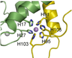 Bioss Team 2 - Figure 1