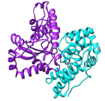 Bioss Team 2 - Figure 4