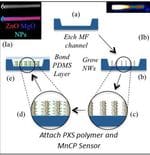 Bioss Team 2 - Figure 5