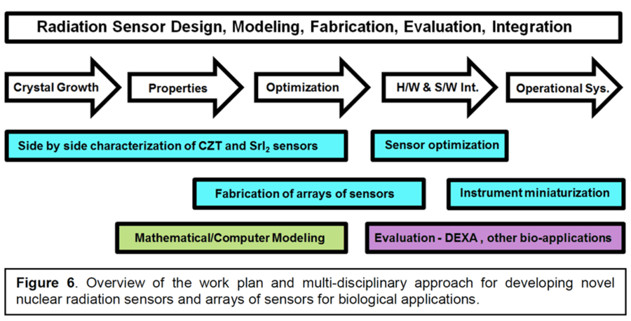 Bioss Team 3 - Workflow